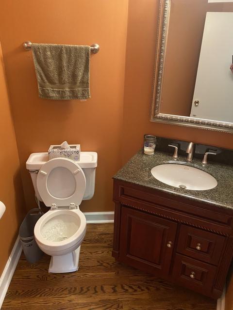 3 Maple Tree Ct, Elmhurst, IL 60126 photo 4