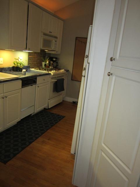 45 Monroe Ave, Elgin, IL 60123 photo 8