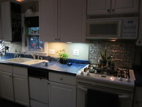 45 Monroe Ave, Elgin, IL 60123 photo 5