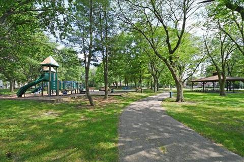 20313 Hellenic Dr, Olympia Fields, IL 60461 photo 30