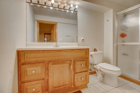 428 Anita Dr, Bartlett, IL 60103 photo 27