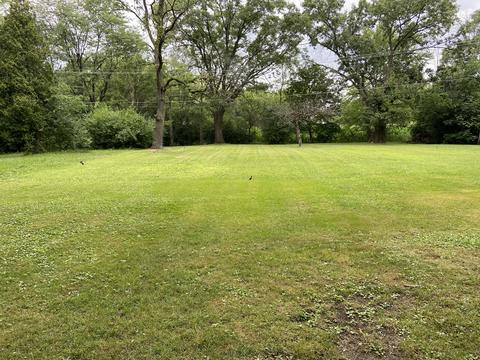 743 Cumnock Rd, Olympia Fields, IL 60461 photo 23