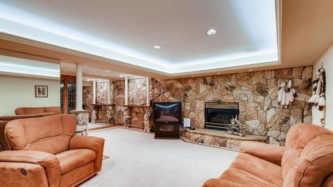 45 Pine Tree Ln, Burr Ridge, IL 60527 photo 24