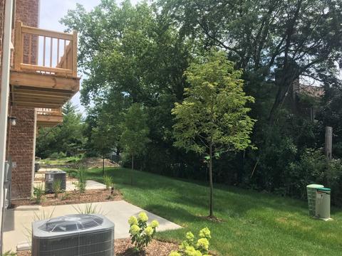 63 Timber Wolf Dr, Wheeling, IL 60090 photo 5