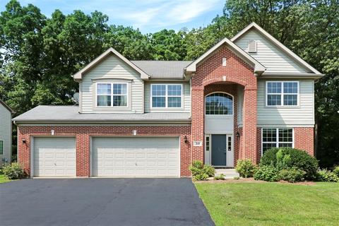 210 Regency Dr, Bartlett, IL 60103 photo 1