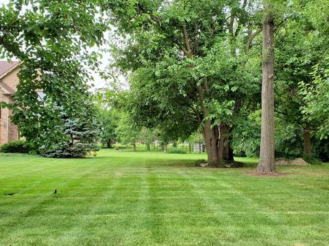 516 65th St, Willowbrook, IL 60527 photo 27