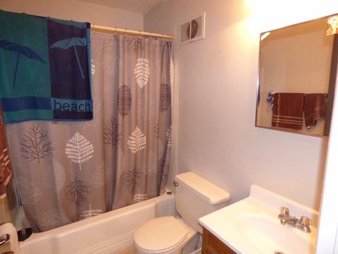 58 S Crystal Ave, Elgin, IL 60123 photo 8