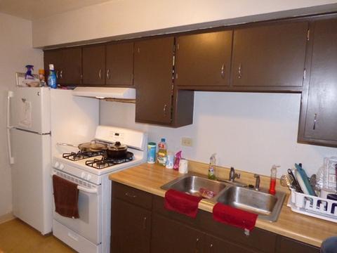 58 S Crystal Ave, Elgin, IL 60123 photo 5