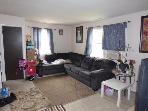58 S Crystal Ave, Elgin, IL 60123 photo 7