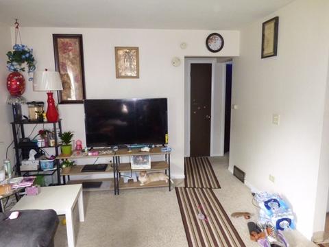 58 S Crystal Ave, Elgin, IL 60123 photo 6
