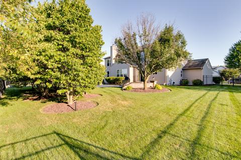 25014 Blue Iris Ct, Plainfield, IL 60585 photo 27