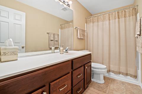 25014 Blue Iris Ct, Plainfield, IL 60585 photo 25