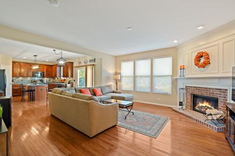 25014 Blue Iris Ct, Plainfield, IL 60585 photo 8