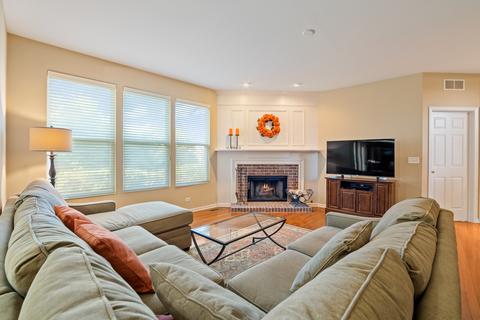 25014 Blue Iris Ct, Plainfield, IL 60585 photo 9