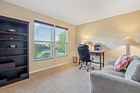 25014 Blue Iris Ct, Plainfield, IL 60585 photo 23