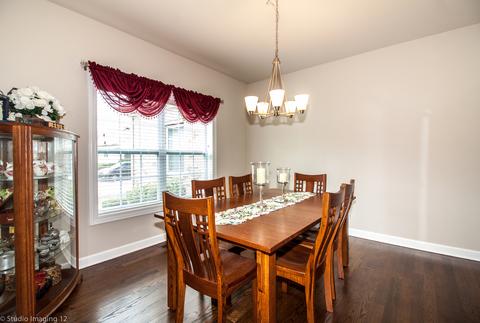 535 Madison Ln, Elgin, IL 60123 photo 6