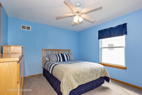 13255 Allyn St, Plainfield, IL 60585 photo 17