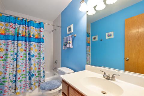 13255 Allyn St, Plainfield, IL 60585 photo 20