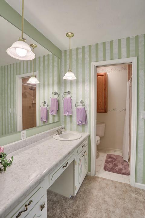 502 E Marshall St, Tolono, IL 61880 photo 24