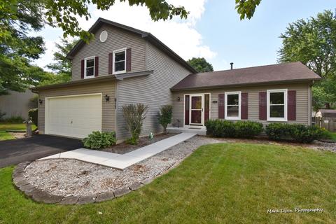 617 Maple Ave, Elburn, IL 60119 photo 28