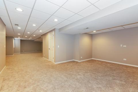 11 Gillingham Ct, Algonquin, IL 60102 photo 20