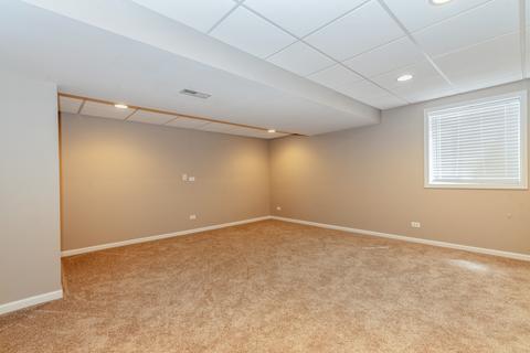 11 Gillingham Ct, Algonquin, IL 60102 photo 21