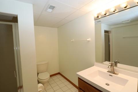 1613 Mccormack Dr, Hoffman Estates, IL 60169 photo 29