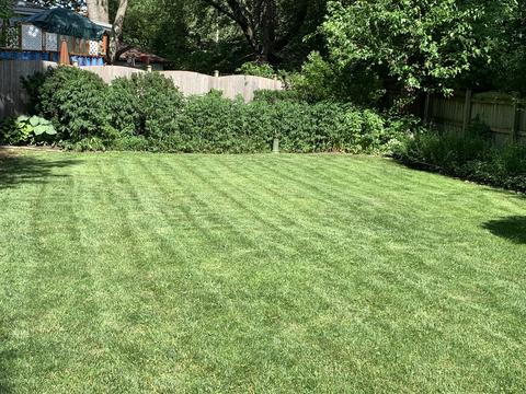 1473 Maple St, Des Plaines, IL 60018 photo 28