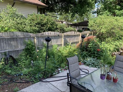 1473 Maple St, Des Plaines, IL 60018 photo 20