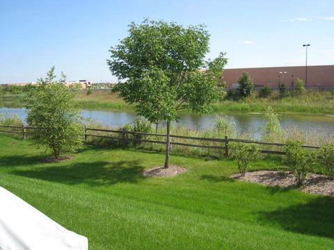 1483 Millbrook Dr, Algonquin, IL 60102 photo 3