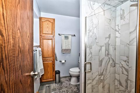1237 W Amelia, Addison, IL 60101 photo 18