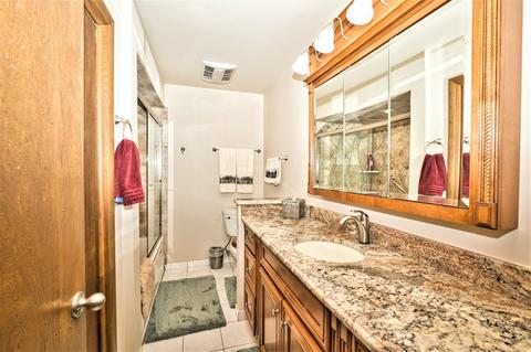1237 W Amelia, Addison, IL 60101 photo 20