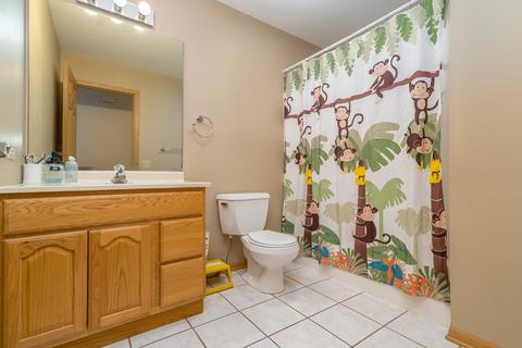 1615 E Patmore St, Diamond, IL 60416 photo 10