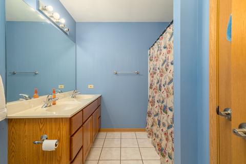 1615 E Patmore St, Diamond, IL 60416 photo 14