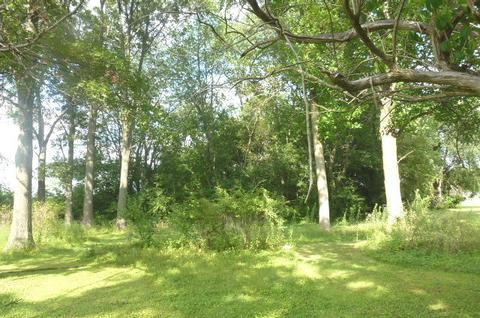 142 E Broadway St, Argenta, IL 62501 photo 41