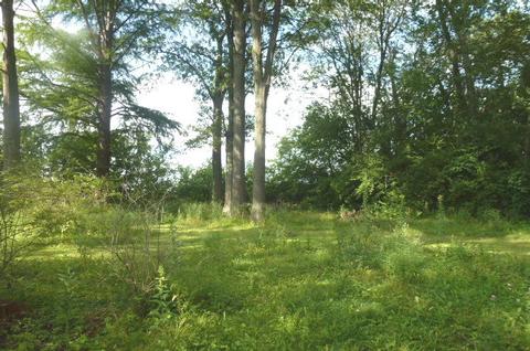 142 E Broadway St, Argenta, IL 62501 photo 43