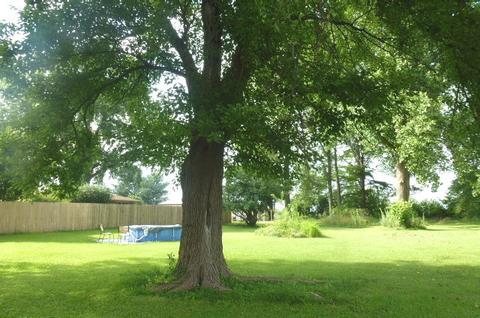 142 E Broadway St, Argenta, IL 62501 photo 48
