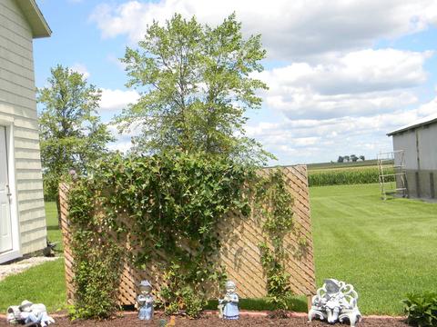 31882 E 3100 North Rd, Chenoa, IL 61726 photo 26