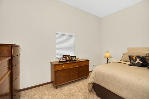 1316 Eagle Bluff Dr, Bourbonnais, IL 60914 photo 22