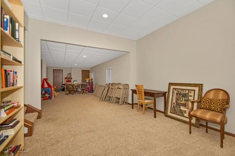1316 Eagle Bluff Dr, Bourbonnais, IL 60914 photo 27