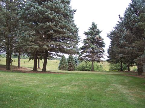 1609 Morgan Trl, Mchenry, IL 60050 photo 29
