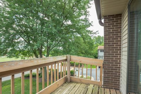 26 Washington Ct, Plainfield, IL 60544 photo 26