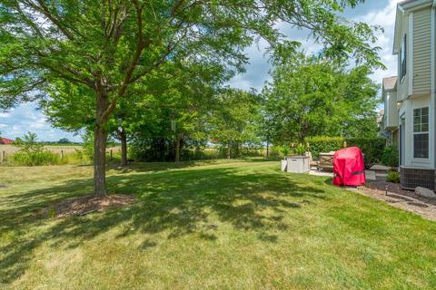 24254 Leski Ln, Plainfield, IL 60585 photo 21