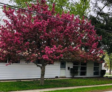704 Elm St, Wheaton, IL 60189 photo 3