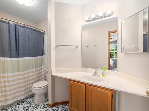 1490 Knotty Pine Dr, Elgin, IL 60123 photo 15