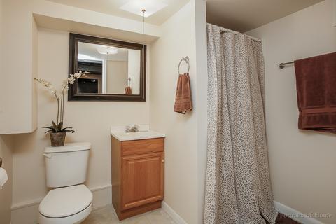 225 W Park Ave, Wheaton, IL 60189 photo 18