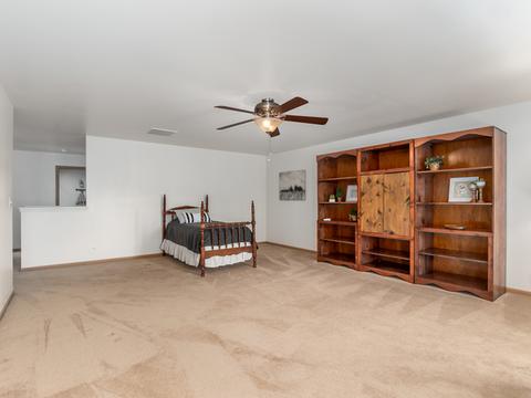 3508 Bailey St, Plano, IL 60545 photo 24