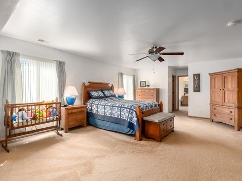 3508 Bailey St, Plano, IL 60545 photo 13