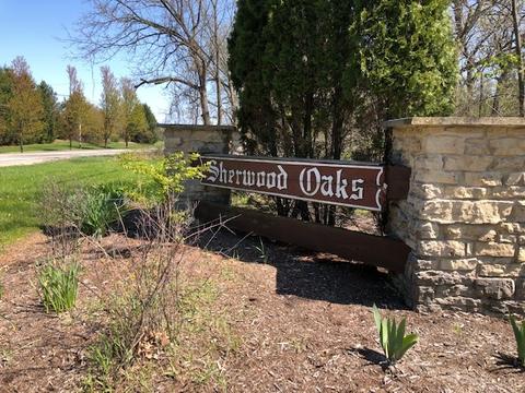 1104 Nottingham Ln, Elgin, IL 60120 photo 19