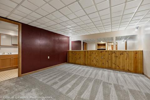 2 Coy Park Dr, Newark, IL 60541 photo 22